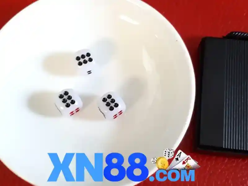 Giới thiệu về xn88