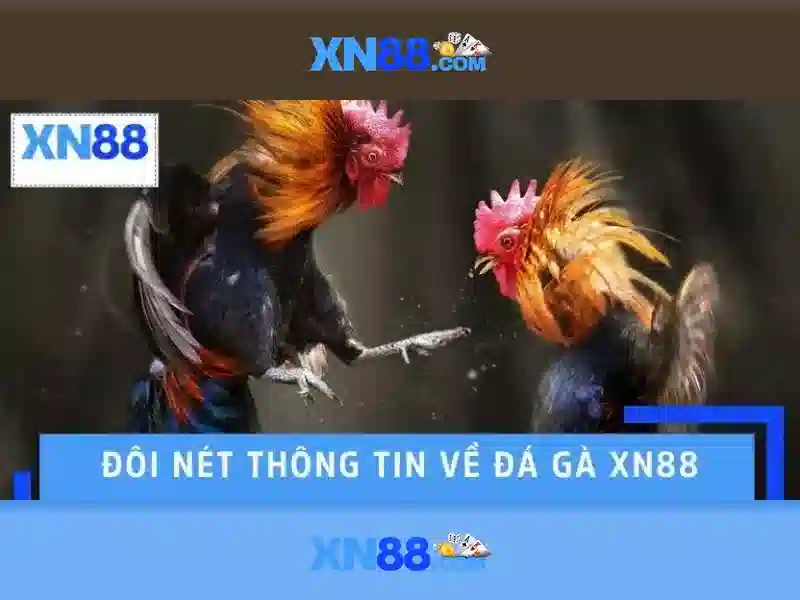 Lợi thế của xn88