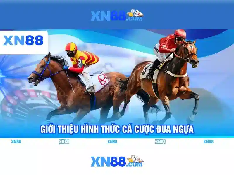 xn88: Tổng quan về nền tảng giải trí trực tuyến và an toàn Giao diện nhà cái hoàn hảo