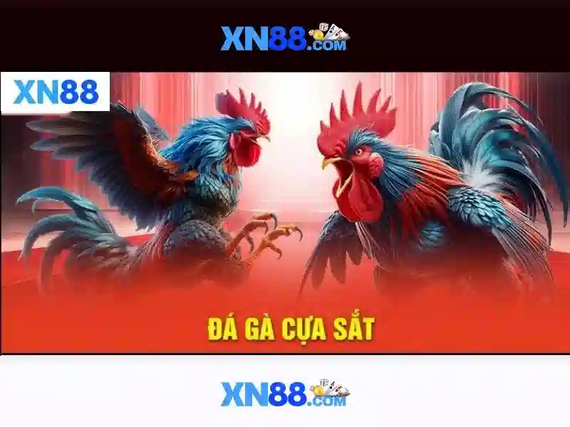 Giao diện trang chủ đăng nhập nhà cái XN88 uy tín và hiện đại