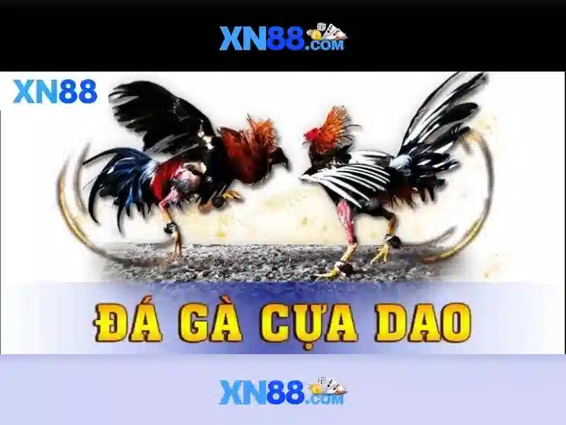 Giới thiệu về xn88