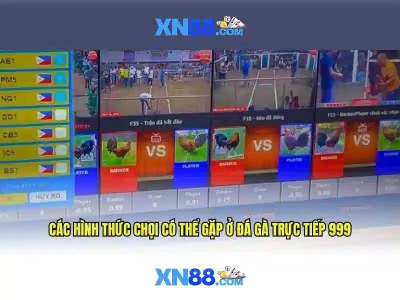 Lịch sử và nguồn gốc của xn88