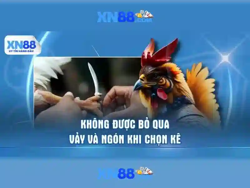Giao diện nhà cái hoàn hảo
