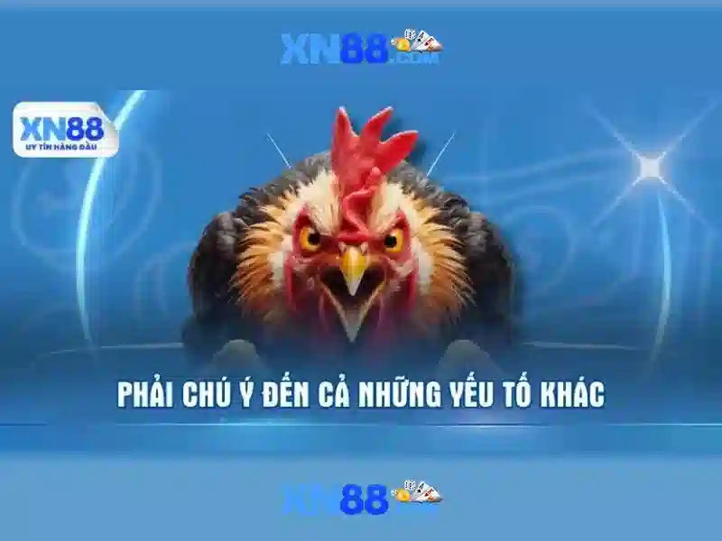 Giới thiệu về xn88