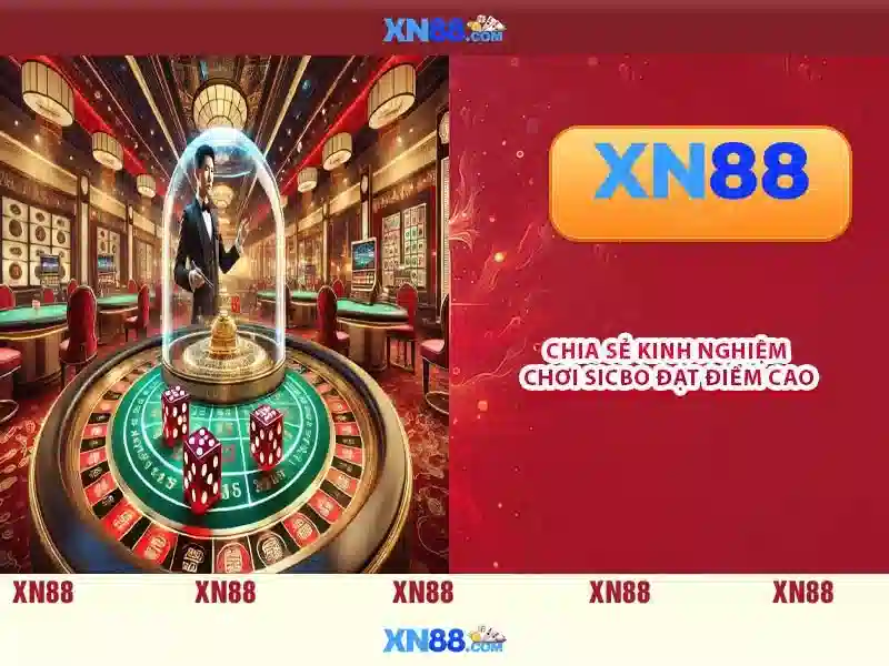 Các sản phẩm chính của xn88