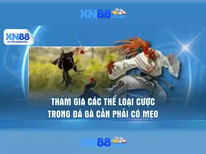 Giao diện nhà cái hoàn hảo