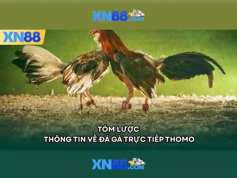 Bảo mật và trách nhiệm xã hội của xn88