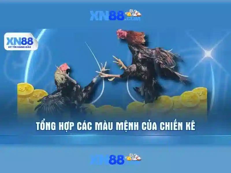 Các sản phẩm nổi bật của xn88