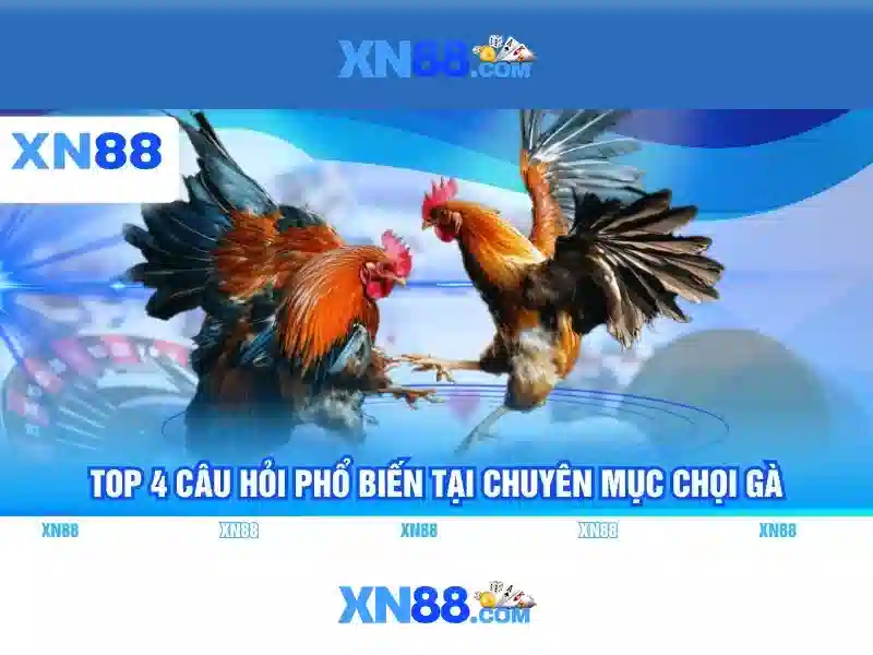 xn88-banner
