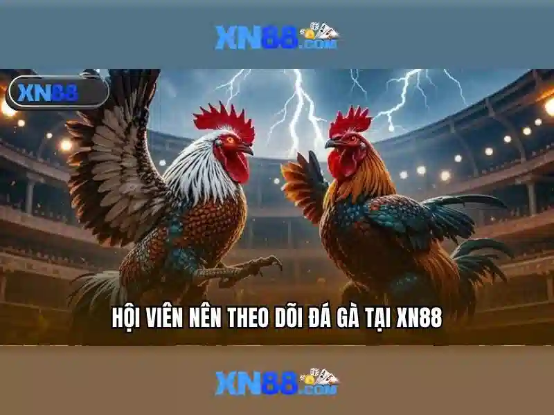 Đặc điểm nổi bật của xn88