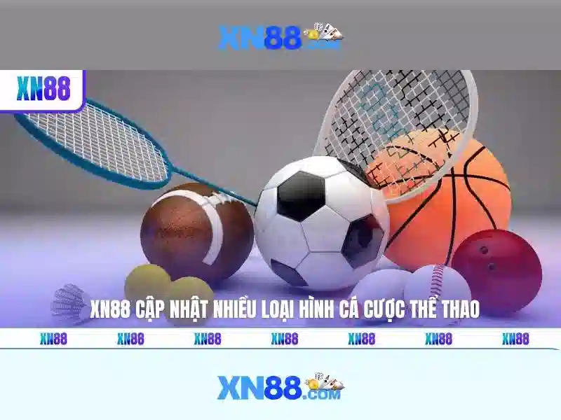 Cung cấp sản phẩm và dịch vụ