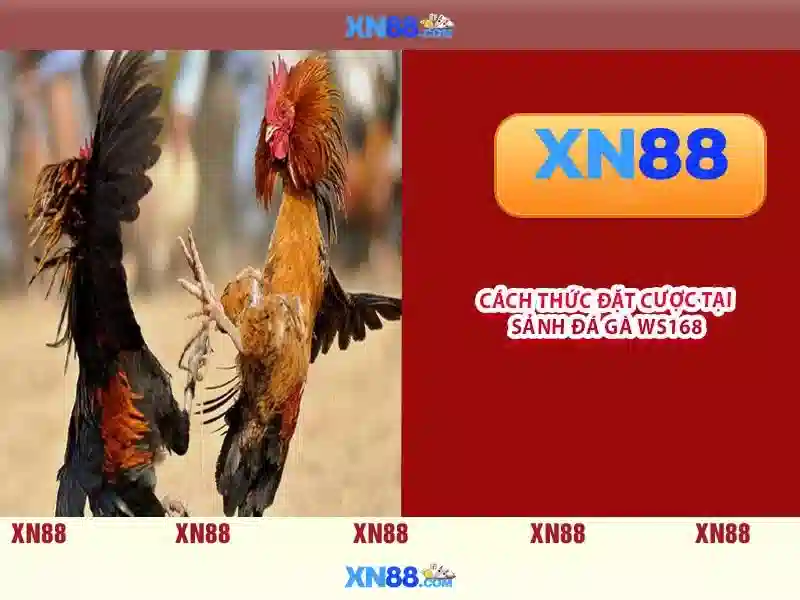 Nền tảng và dịch vụ
