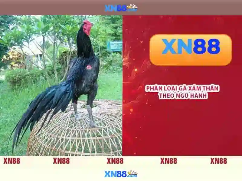 xn88: Nền tảng giải trí trực tuyến và đánh giá tổng quan Giao diện nhà cái hoàn hảo