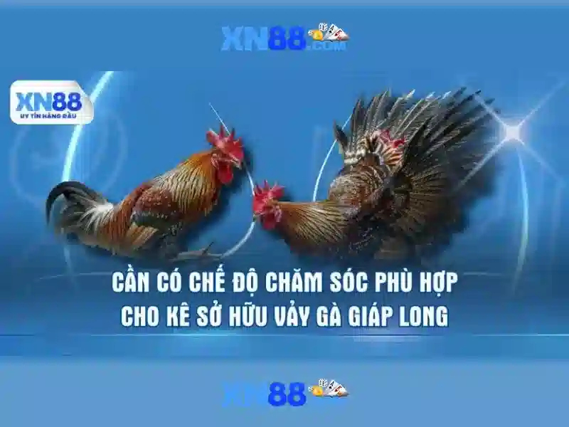 Các trò chơi và nền tảng