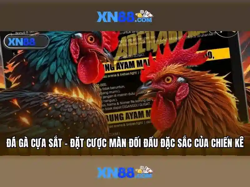 An toàn và trả thưởng