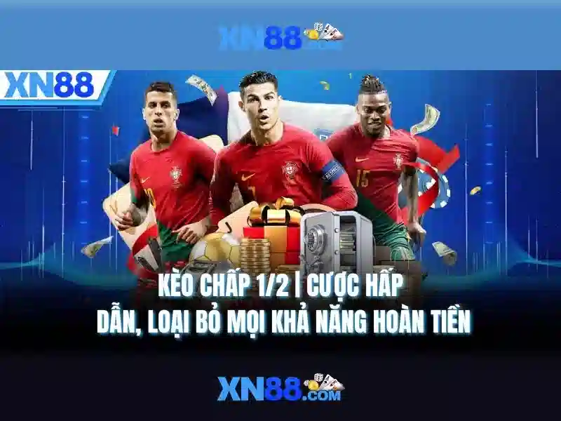 Giao diện người dùng và trải nghiệm