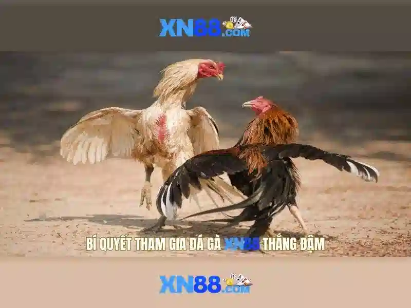 Lịch sử của xn88 và sự phát triển của nền tảng