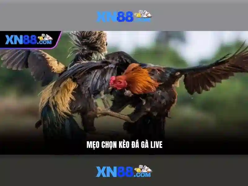 An toàn và bảo mật
