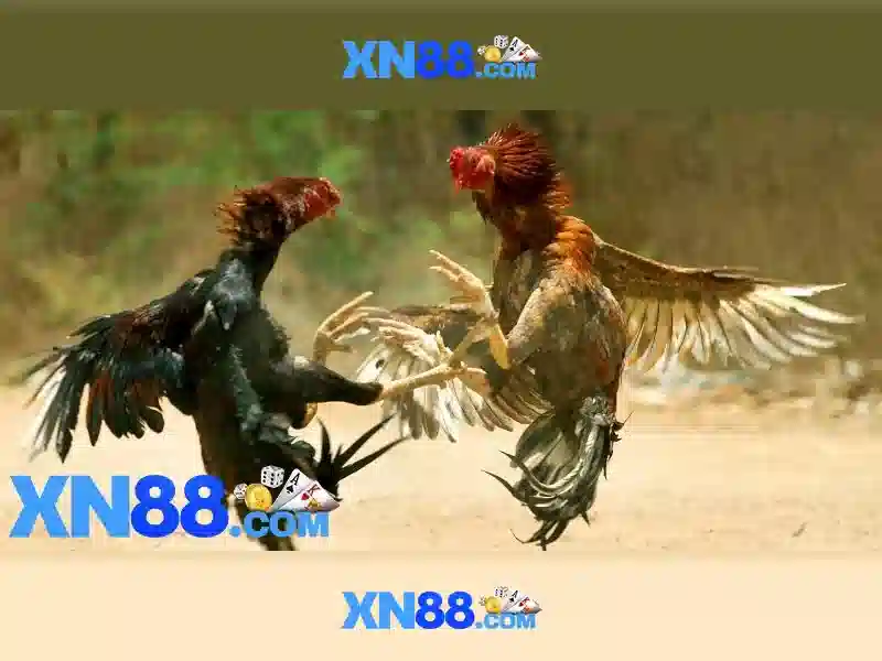Nguồn gốc và ý nghĩa
