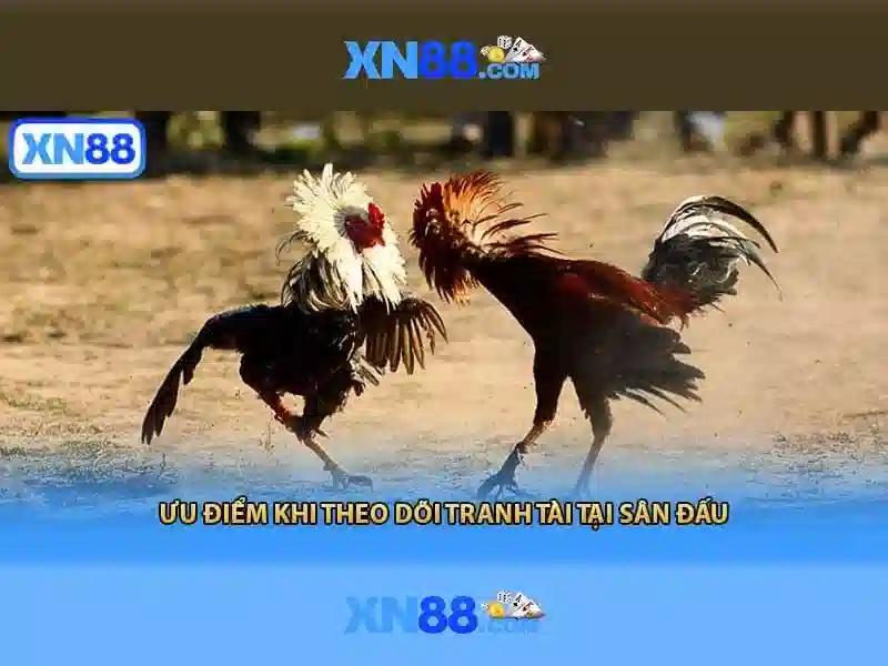 Lý do chọn xn88 cho người chơi Việt Nam