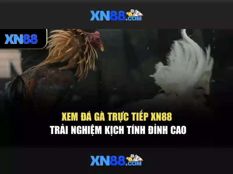Hiệu suất và tích hợp xn88