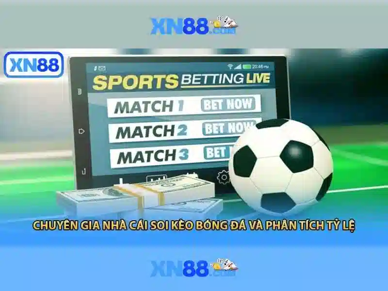 Giới thiệu xn88