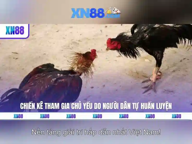 Giao diện nhà cái hoàn hảo