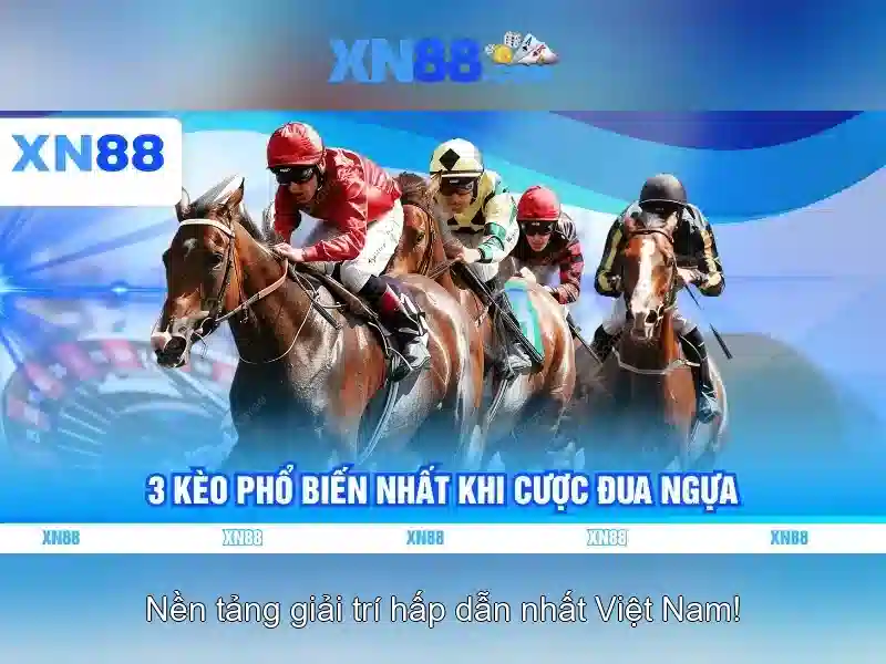 Giao diện người dùng và trải nghiệm