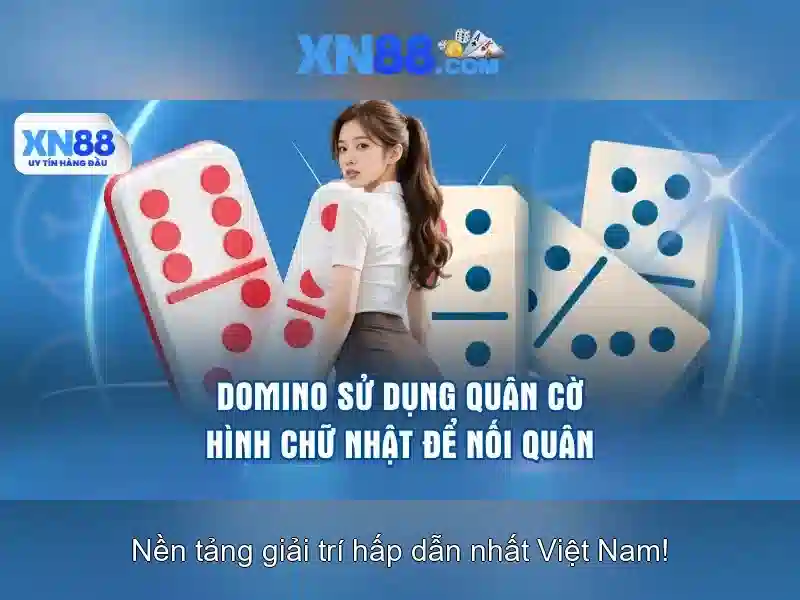 Các lĩnh vực liên quan đến xn88