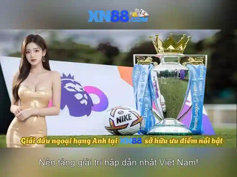 Nền tảng và cấu trúc
