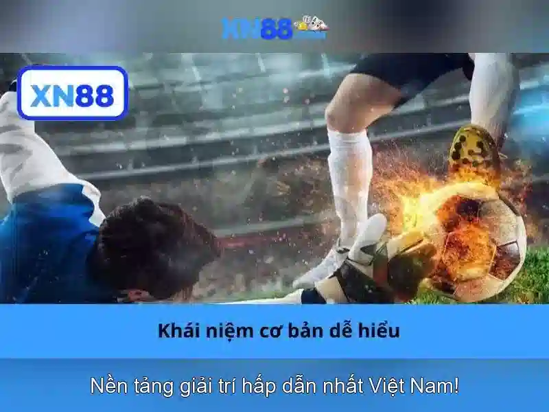 Hỗ trợ người chơi và cộng đồng