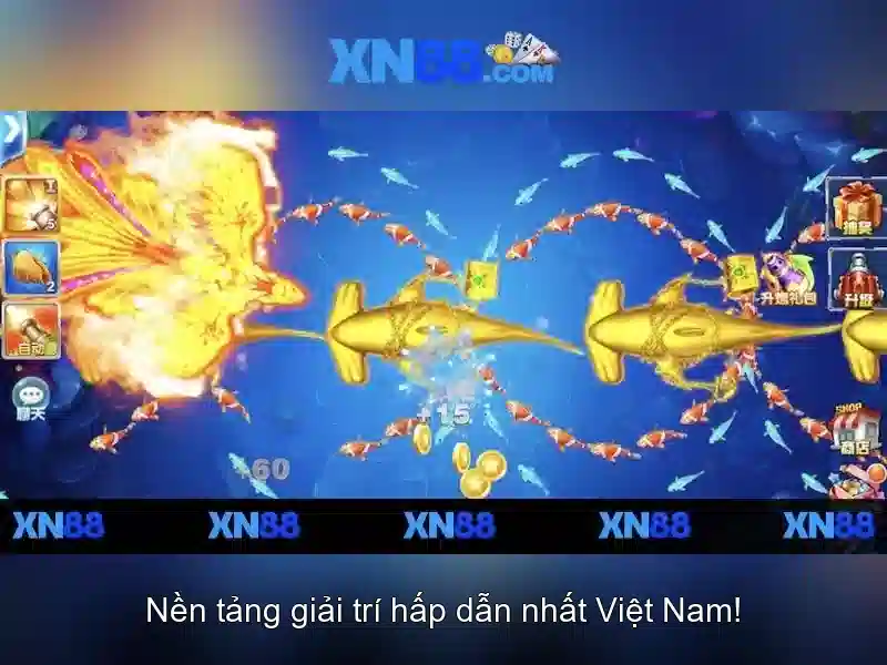Cách tham gia và trải nghiệm