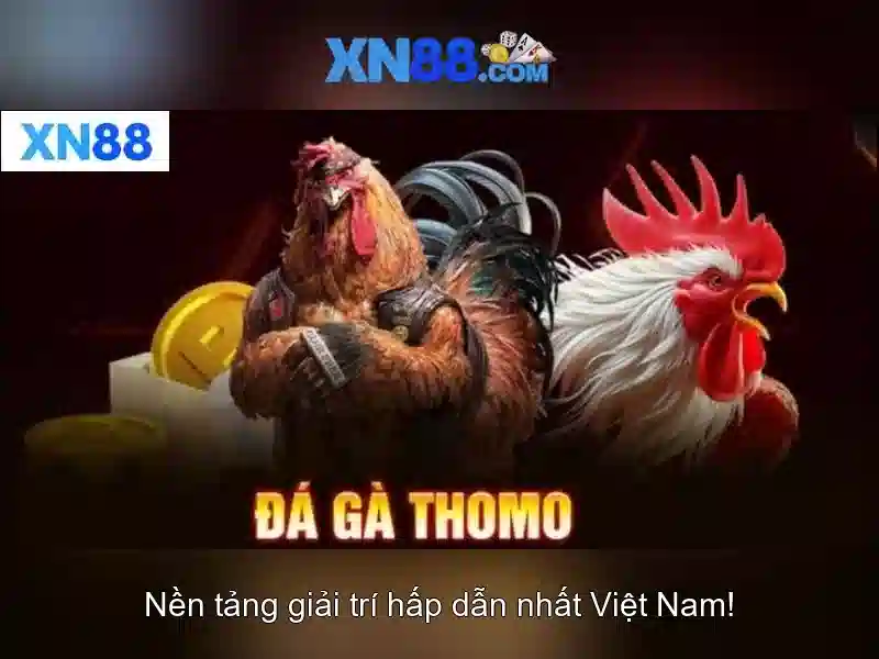 Giao diện nhà cái hoàn hảo