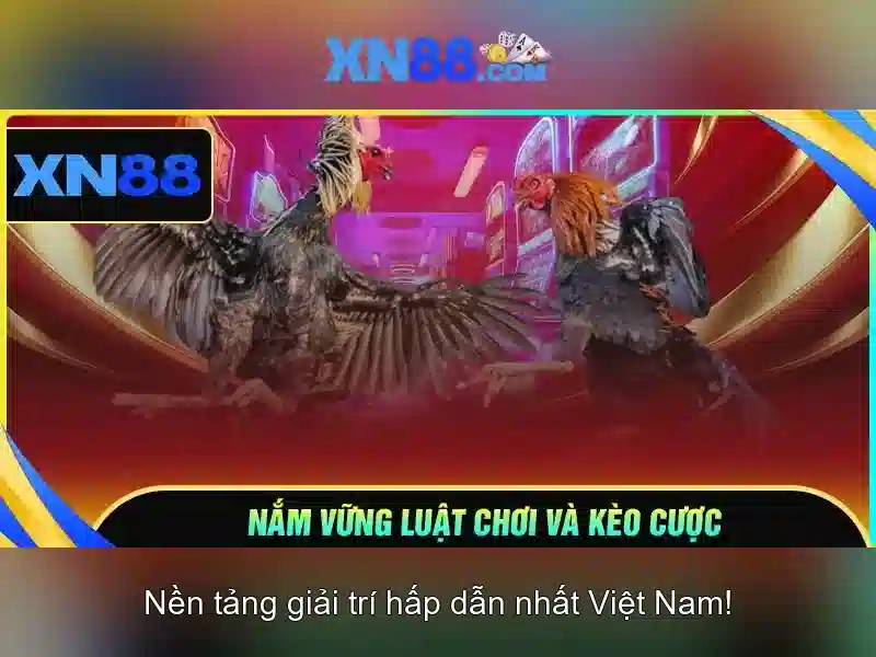 Khám phá xn88