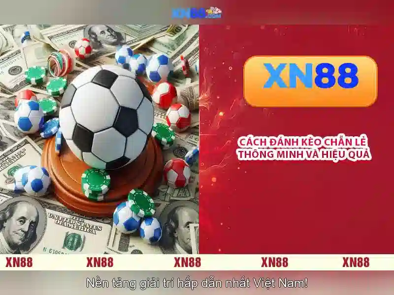 Giới thiệu về xn88