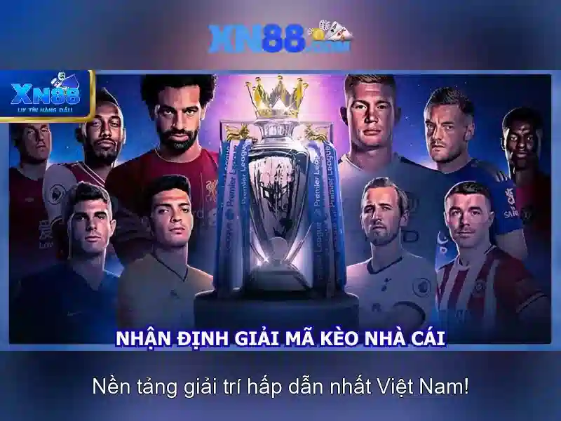 Khuyến mãi và quyền lợi