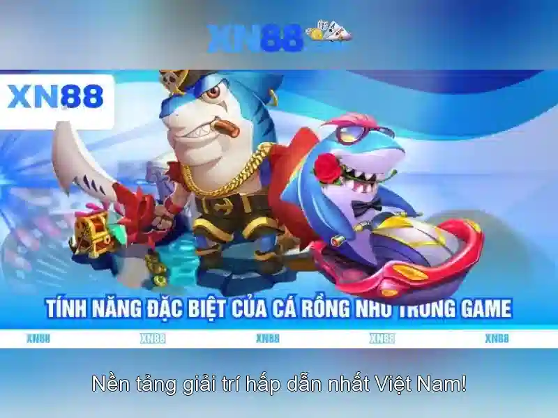 Kiến thức tổng quan về xn88