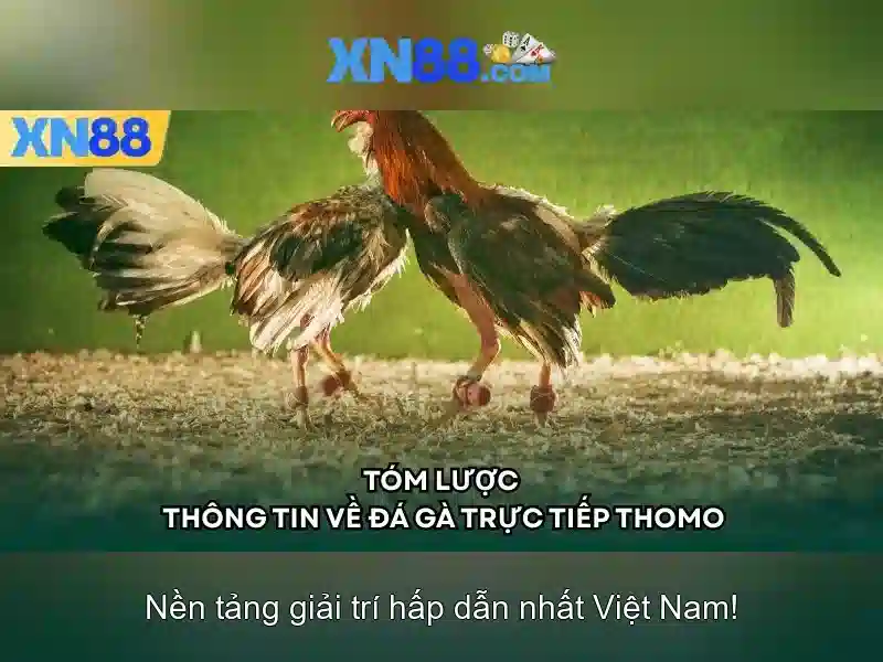 Giới thiệu về xn88