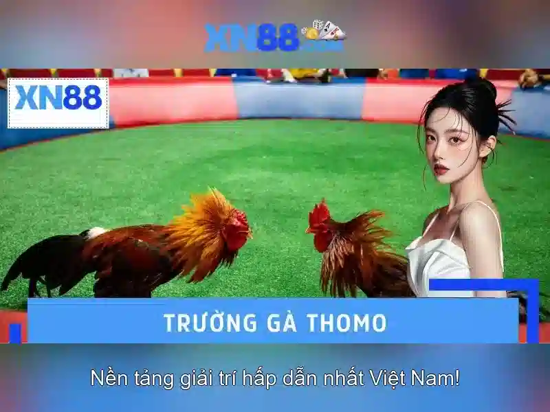 Giới thiệu về xn88