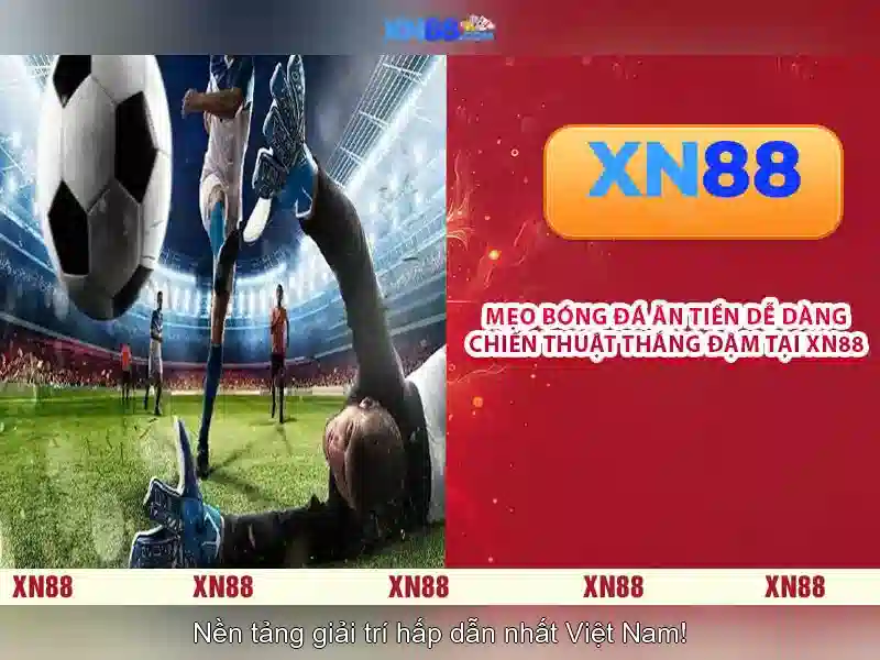 Giới thiệu về xn88