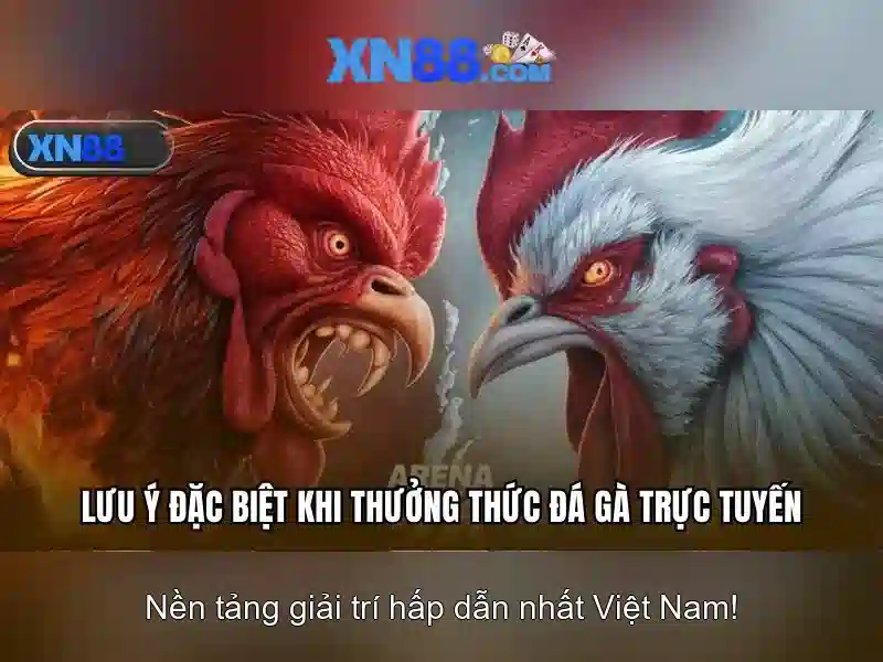 Giới thiệu về xn88
