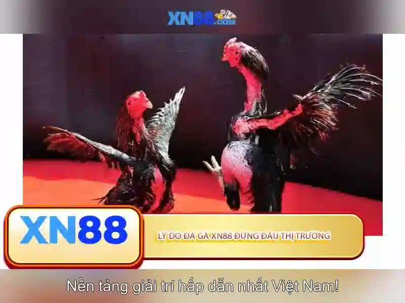 Thanh toán và hỗ trợ khách hàng