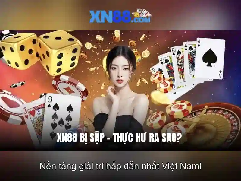 Trải nghiệm người dùng và giao diện