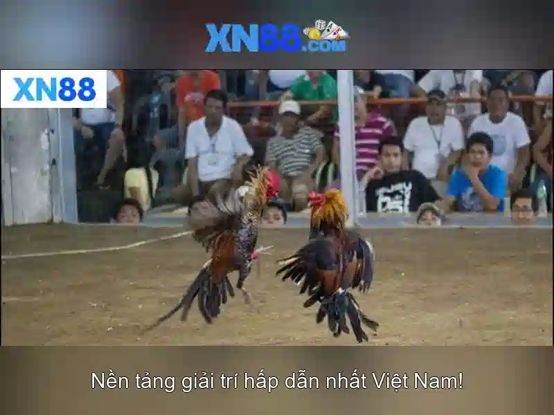 Giới thiệu về xn88