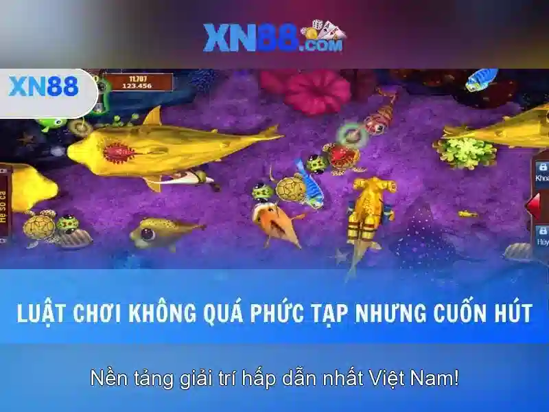Giới thiệu về xn88