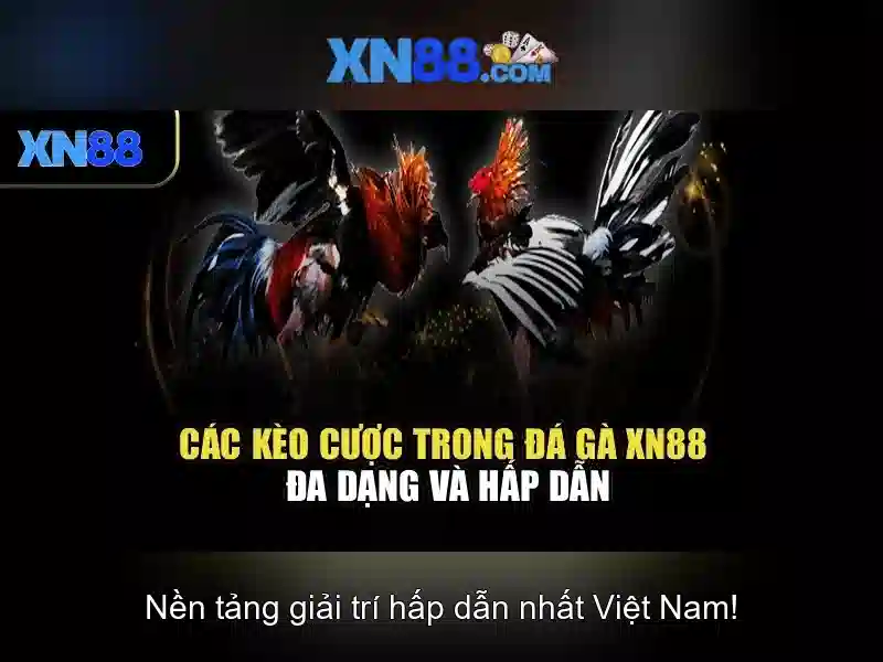 Hình ảnh minh họa trang lien he xn88