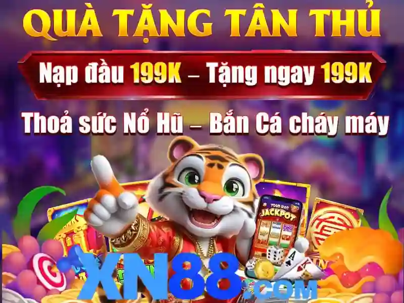Lĩnh vực hoạt động