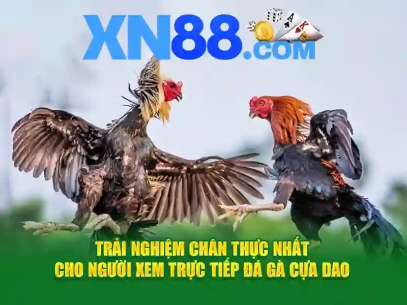 Cách hoạt động và những lưu ý an toàn